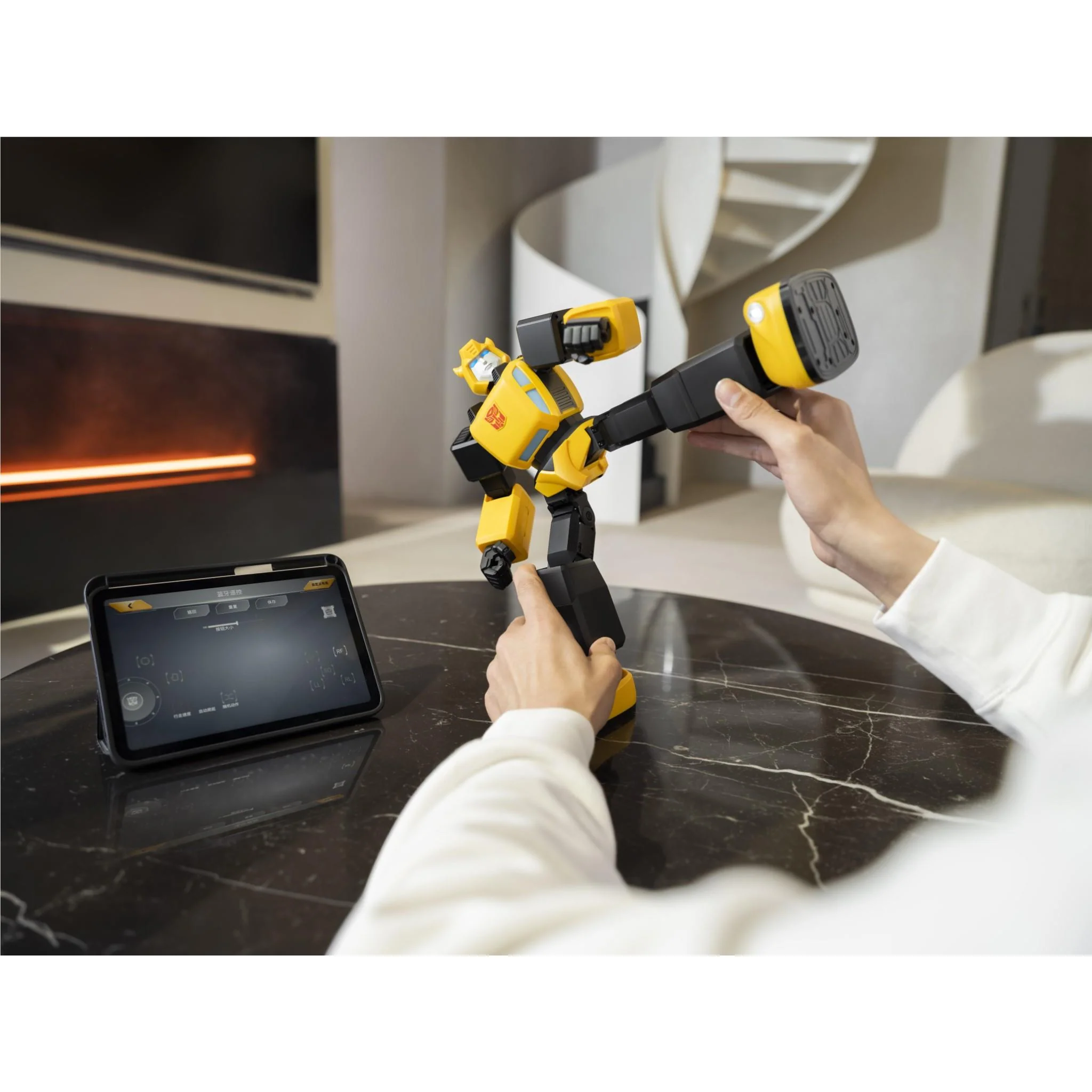 Product image 19